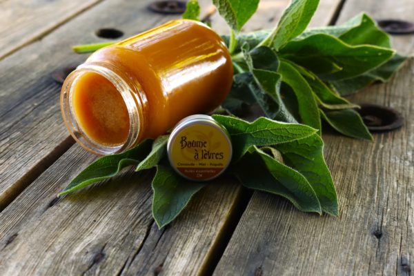 Baume à lèvres | Consoude miel propolis