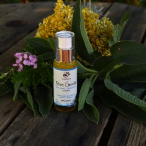 Baume à lèvres | Consoude miel propolis