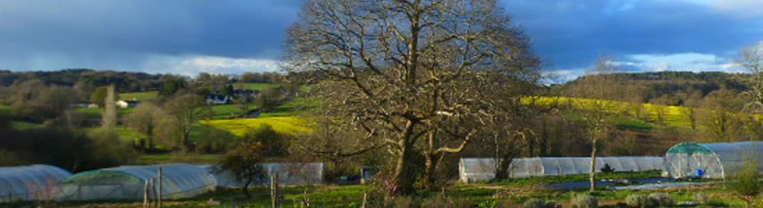 ferme-atelier-des-bons-plants-notre-histoire ferme de l'atelier des bons olants- de la ciueillette au pot- Producteur fabricant en Bretagne