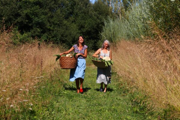 Cueillette de nos plantes en Bretagne