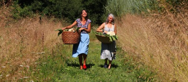 Cueillette de nos plantes en Bretagne