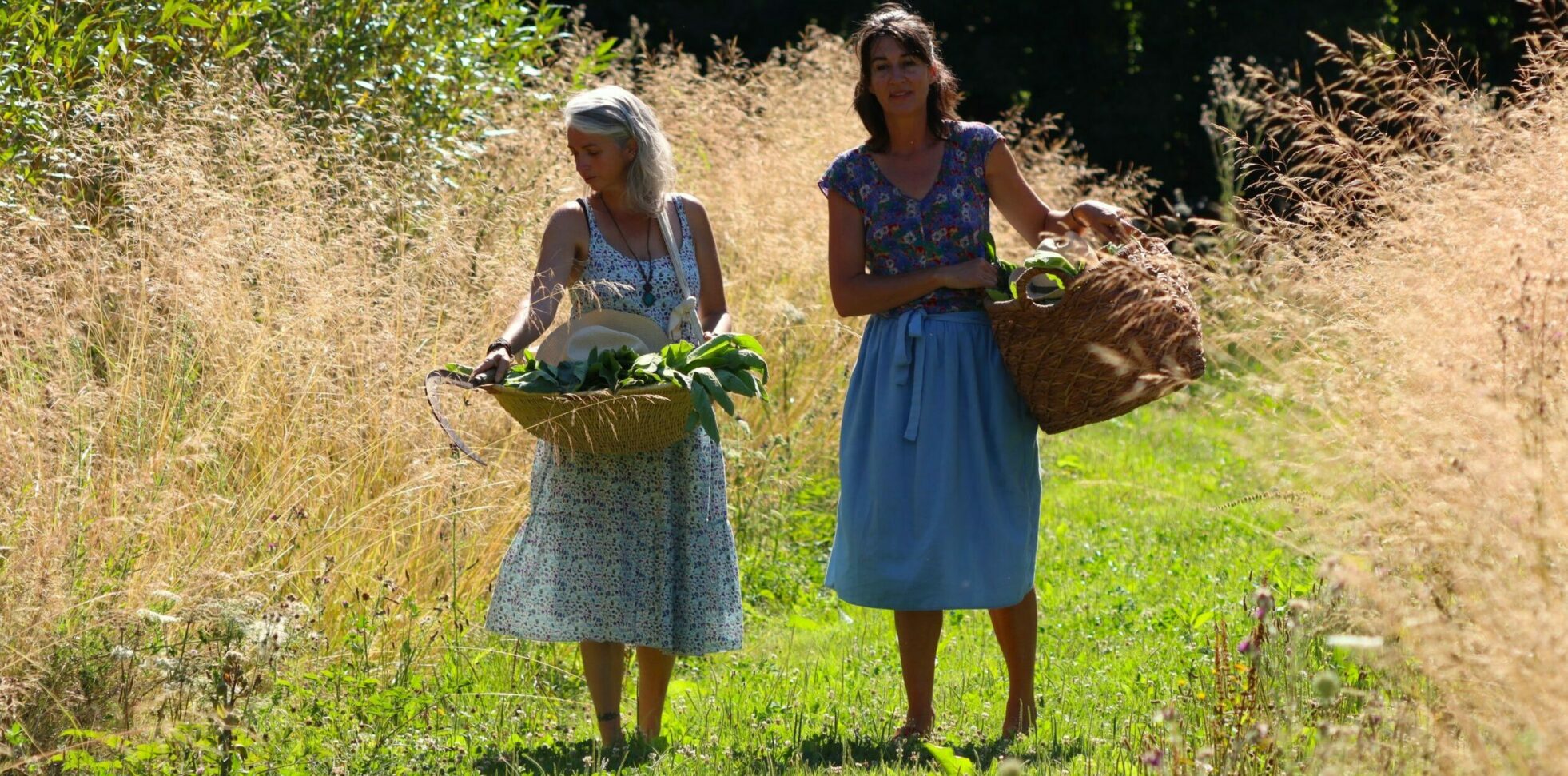 Cosmétique bio Symphytum