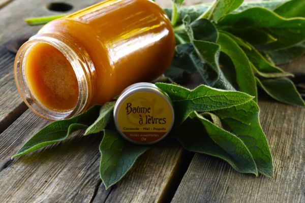 Baume à lèvres, consoude, miel, propolis
