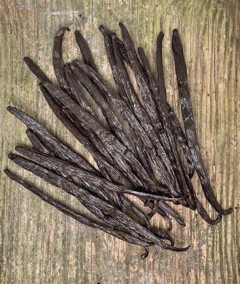 Lait Délicat Nettoyant & Démaquillant – Image 3