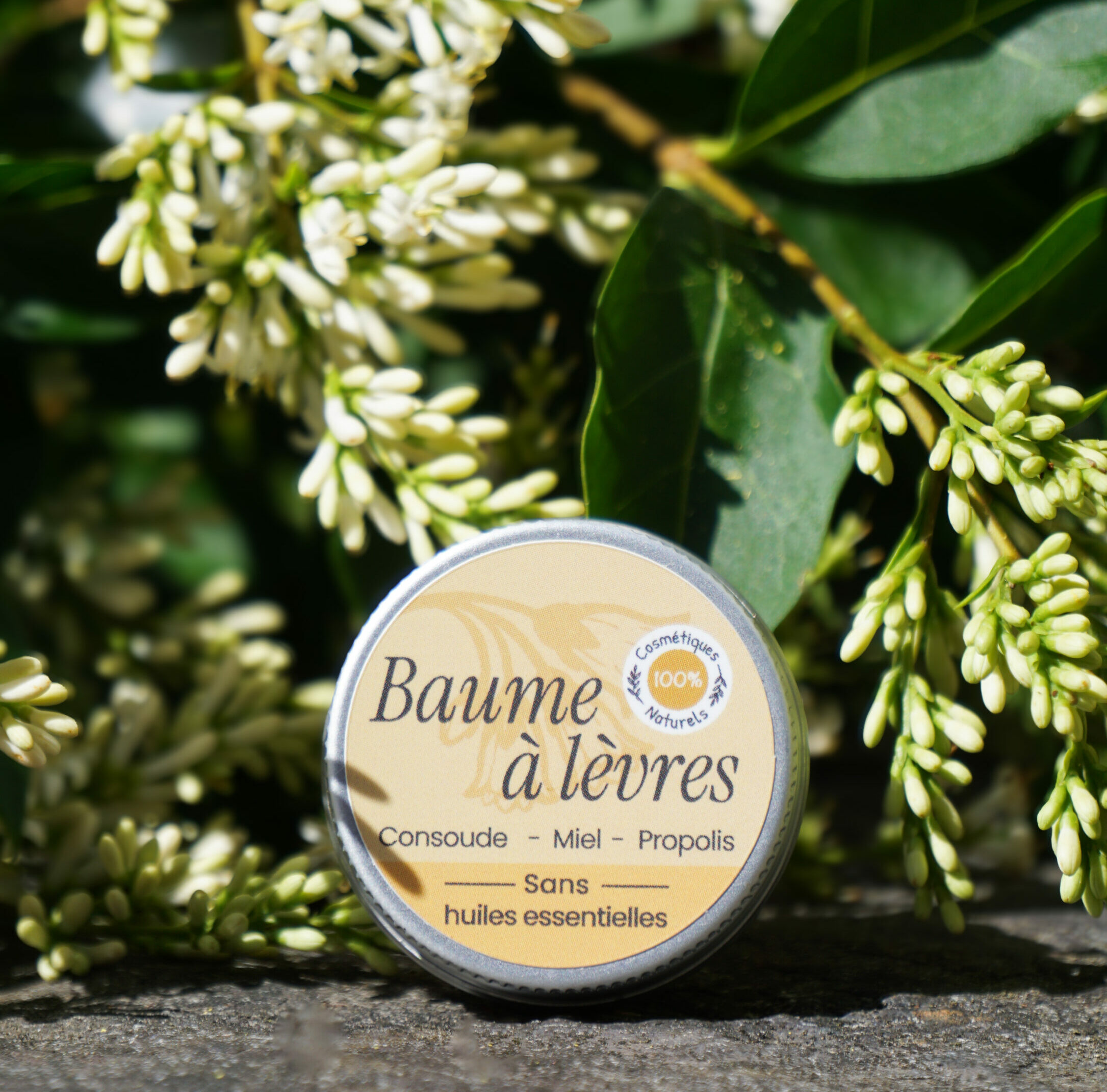 Baume à lèvres – Image 5