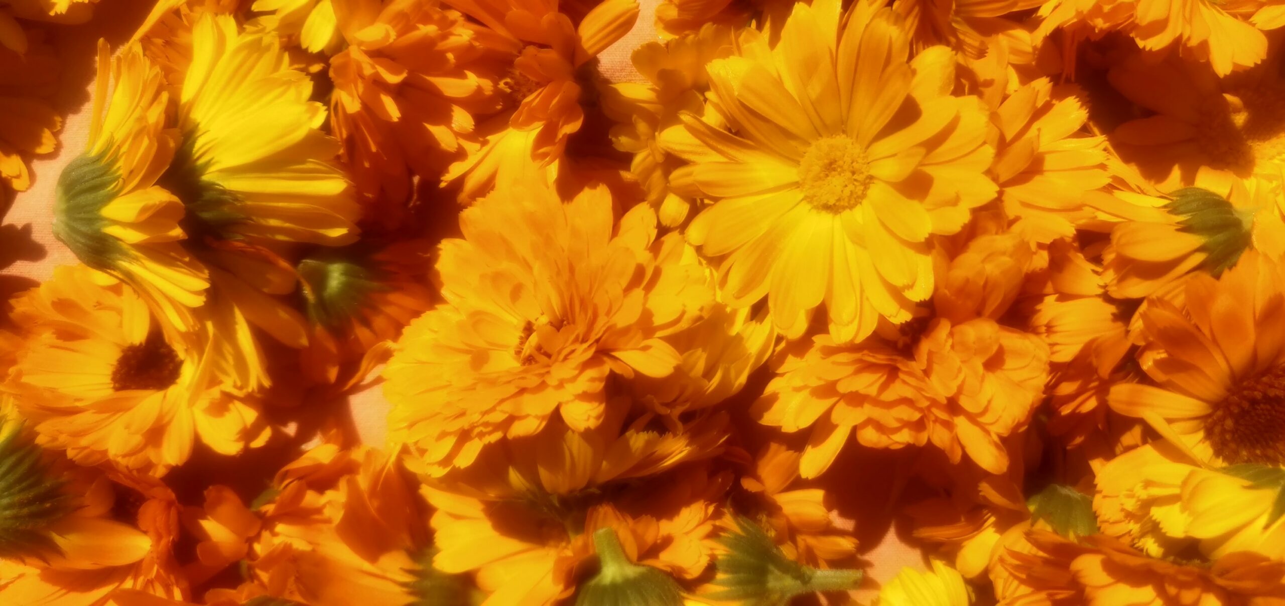 Baume Bonne Mine Bio – Image 4