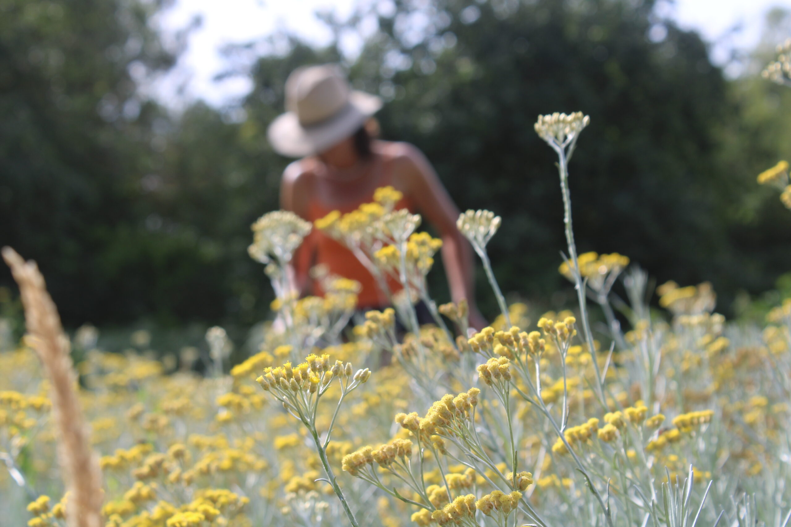 Duo "Réparateur" – Image 2