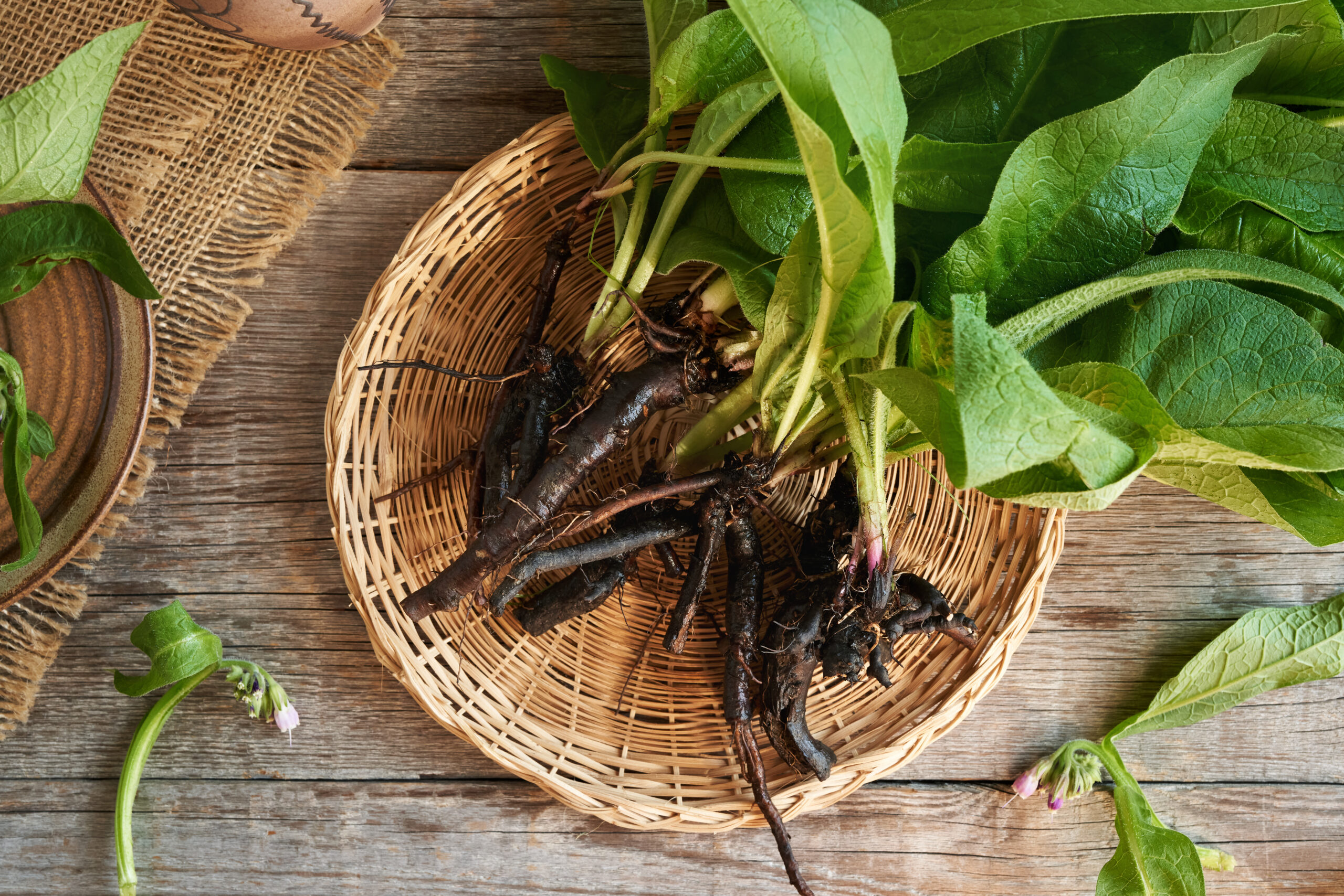 Baume réparateur – Image 3